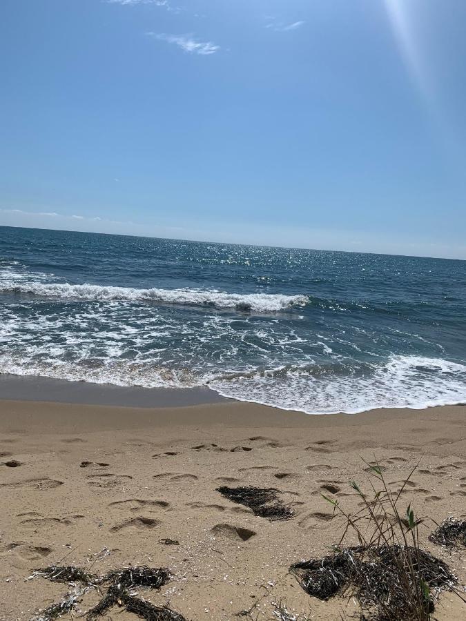 Аппартамент Pines Beach Resort Byala  Bagian luar foto